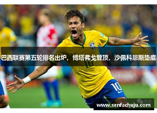 巴西联赛第五轮排名出炉，博塔弗戈登顶，沙佩科恩斯垫底