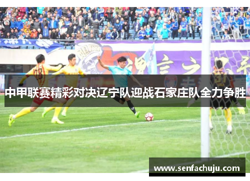 中甲联赛精彩对决辽宁队迎战石家庄队全力争胜